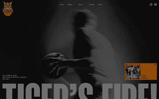 Data visualization project