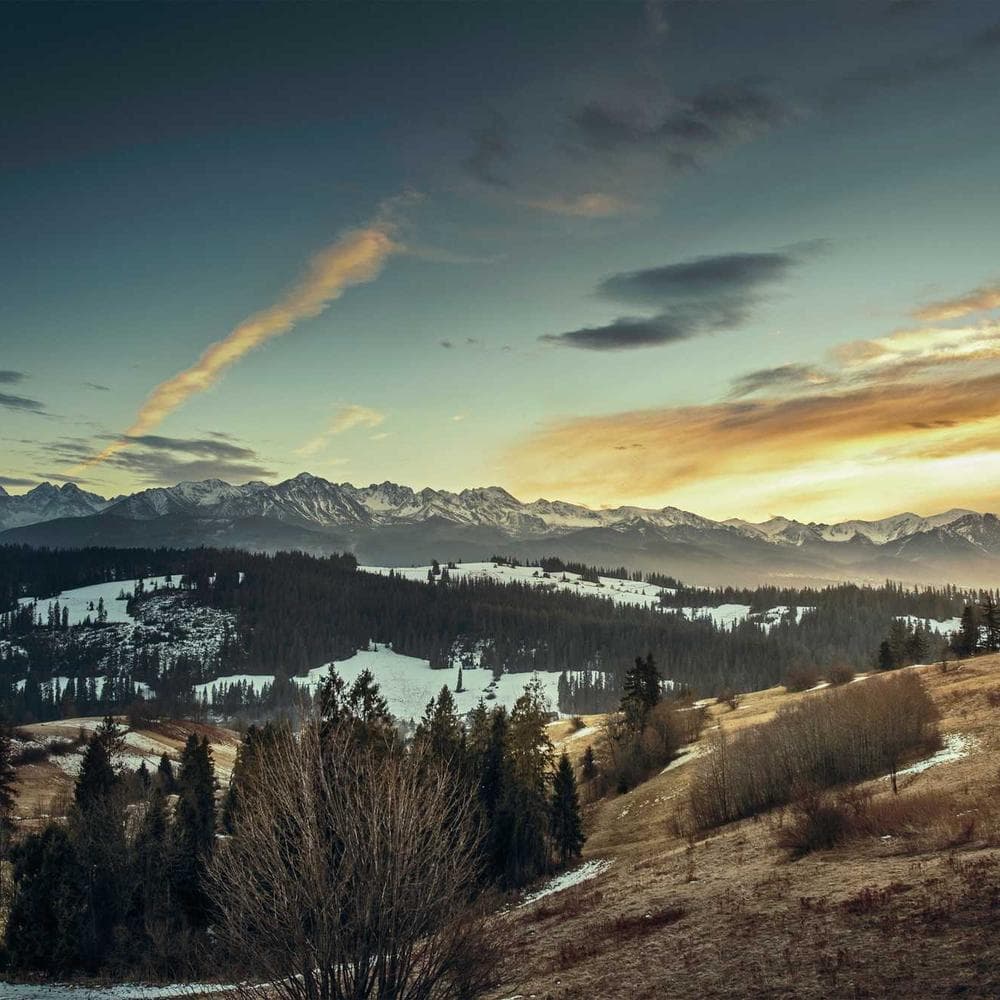 Nexulyze Brand System components