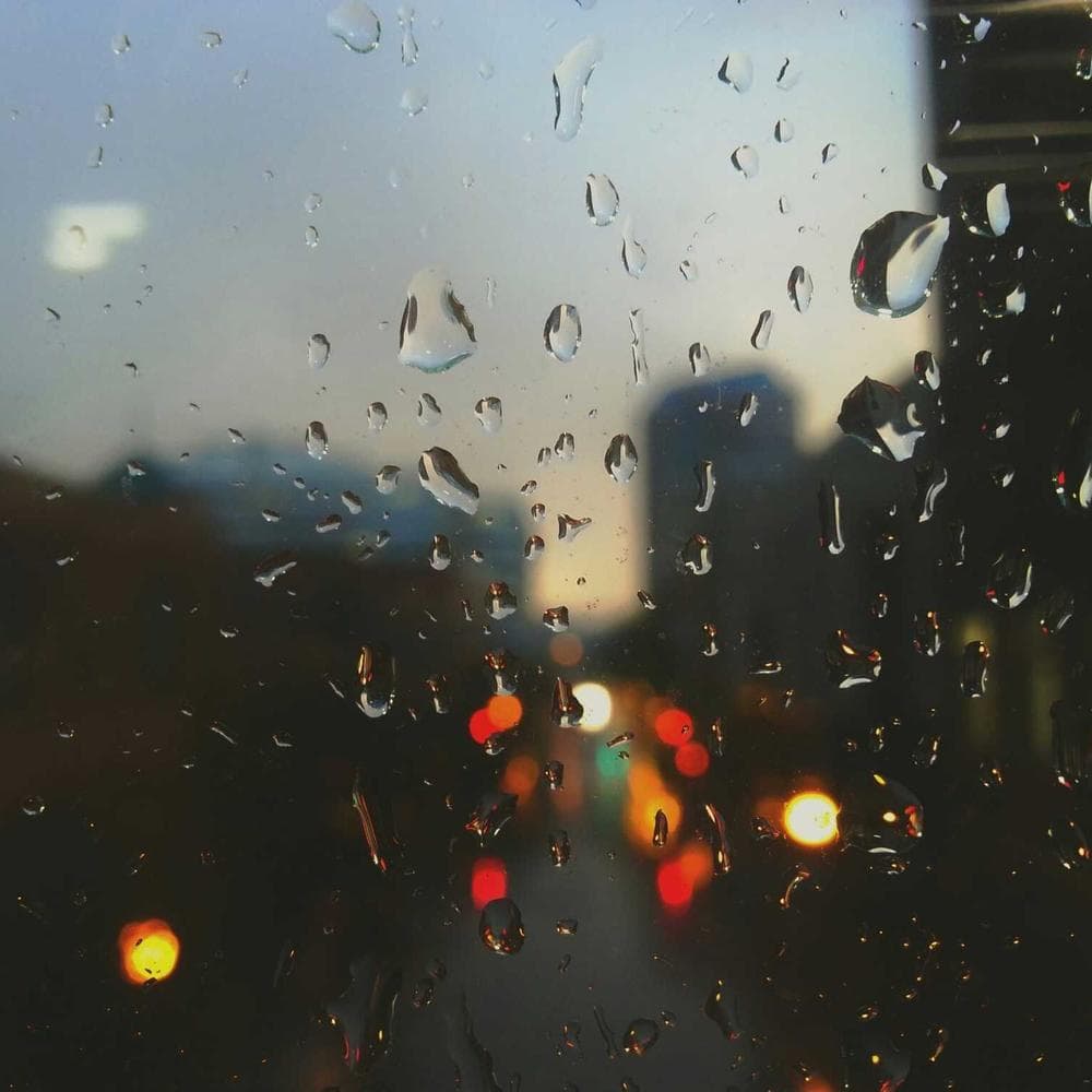 Nexulyze Brand System mobile wireframe