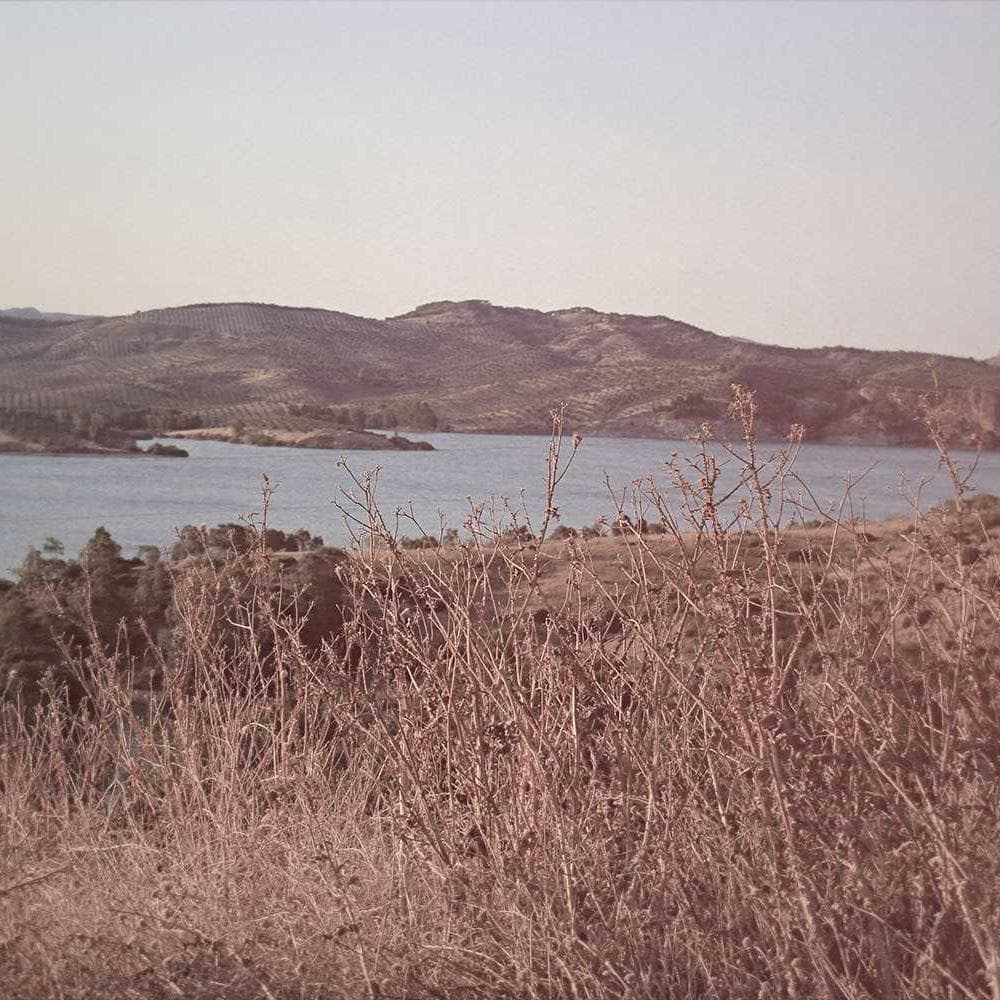 Nexulyze Brand System palette