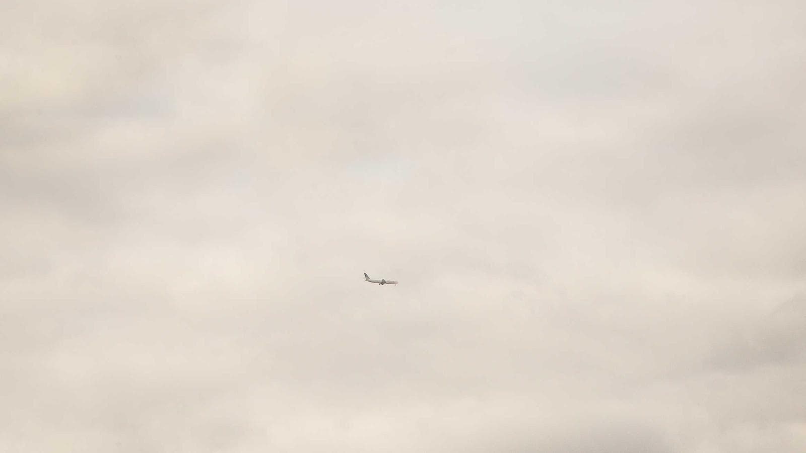 Nexulyze Brand System solution visual